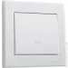 Lezard      Rain    703-0288-107