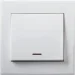 Lezard   Rain    703-0288-111