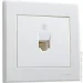 Lezard   Rain  703-0288-137