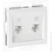 Lezard    Rain  703-0288-138
