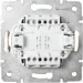 Lezard    Rain    703-0388-107