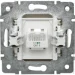 Lezard   Rain  703-0388-137