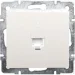 Lezard   Rain  703-0388-137