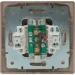 Lezard  TV  Mira -