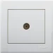 Lezard  TV  Rain  703-0288-129