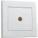 Lezard  TV  Rain  703-0288-129