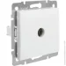 Lezard  TV  Rain  703-0288-129