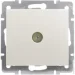 Lezard  TV  Rain - 703-3088-129