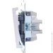 Lezard    Vesna  742-0288-106