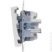 Lezard    Vesna    742-0288-107