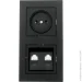 Lezard   Vesna   742-4200-152