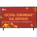  LG QNED 50QNED80T6A