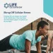 Специальная добавка Life Extension Bone Restore 120 капсул (4384304320) Специальная добавка Life Extension Bone Restore 120 капсул (4384304320)