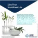   Life Extension HepatoPro 60  (4384304312)