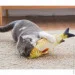 Lifeflux      3D  CatNip    (348-2019)