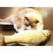 Lifeflux      3D  CatNip    (348-2019)