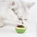 Lifeflux        CatNip (2064-1-2019)