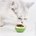 Lifeflux  '     CatNip (2064-2019)