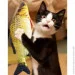 Lifeflux      CatNip  3D    30  (1155-2019)