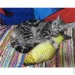 Lifeflux      CatNip  3D    30  (1155-2019)