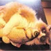 Lifeflux      CatNip  3D    30  (1155-2019)
