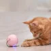 Lifeflux         CatNip LED  (1383-2019)