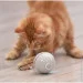 Lifeflux     Smart Rolling Ball    CatNip LED  (1385-2019)