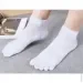 Lifeflux      Dizer Socks 40-43  (2967-2019)