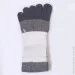 Lifeflux      GinZin 35-37  (2497-2019)
