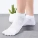 Lifeflux      Luoyi Socks 36-39  (2969-2019)