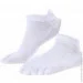 Lifeflux       Mi Ting 37-40  (2951-2019)