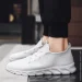  Lifeflux Navette .40  (3812-2019)
