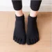 Lifeflux      Tazk 39-42    (2465-2019)