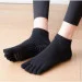 Lifeflux      Tazk 39-42    (2465-2019)