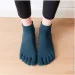 Lifeflux      Tazk 39-42    (2466-2019)