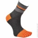 Lifeflux    VERIDICAL 40-44 - (1786-2019)