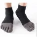 Lifeflux     VERIDICAL 40-44 - (418-2019)