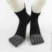 Lifeflux    VERIDICAL 40-44    (903-2019)