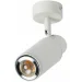  -  Light HouseSRS-200058/1 WH 