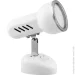 Lightmaster    RAD S-S MR16 1xG5.3 