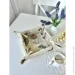  Limaso   20x20x8 (KH21)