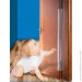 Little Bean      LB1012 10120  (1701)
