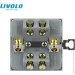 Livolo    20   (VL-FCMKV20A-2IP)