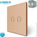 Livolo     2  +    (VL-XR008-A/FC2Z2-2G)