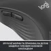  Logitech Signature M650 L Graphite (910-006348)
