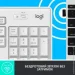  (  ) Logitech MK295 Silent Off-White (920-009824)