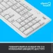  (  ) Logitech MK295 Silent Off-White (920-009824)