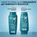 Шампунь L'Oreal Paris шамп контроль свежий д/сх до жирн вол и шк гол 250 мл (3600524224387) Шампунь L'Oreal Paris шамп контроль свежий д/сх до жирн вол и шк гол 250 мл (3600524224387)