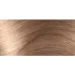 L'Oreal Paris    EXCELLENCE 8.1 - 