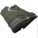   Lowe Alpine  Lowa Renegade Evo GTX LO 42 Olive (1012-311867-7811-42.0)